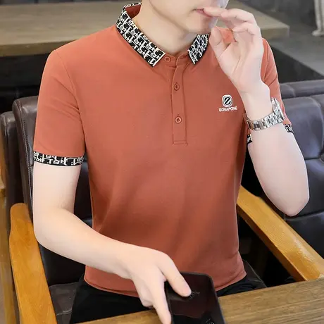 保罗纯棉夏季短袖t恤男士翻领刺绣polo衫爸爸上衣男大码透气体恤图片