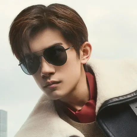 EMPORIO ARMANI【龙年限定】太阳镜男款墨镜飞行员眼镜0EA2149D图片