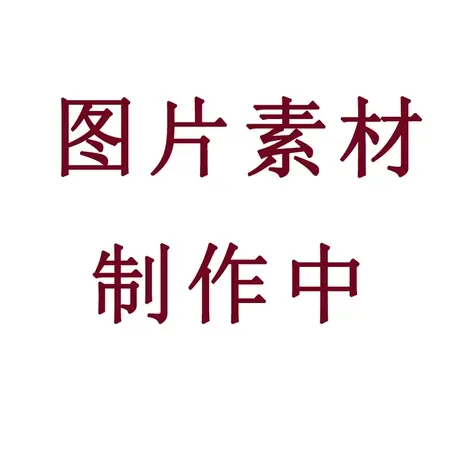 本命年红色内衣女无钢圈小胸聚拢少女胸罩上托收副乳蕾丝文胸套装商品大图