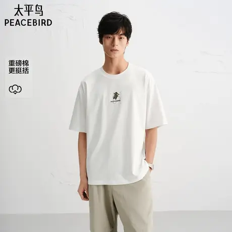 【商场同款】太平鸟男装重磅短袖T恤25秋新款刺绣体恤衫B2CNF3202商品大图