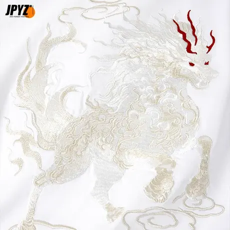 男生短袖t恤麒麟祥云刺绣印花圆领纯棉宽松痞帅国潮半袖打底体恤商品大图