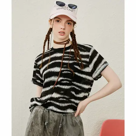 a02条纹冰丝设计感小众薄款女式T恤夏季个性休闲短袖上衣图片