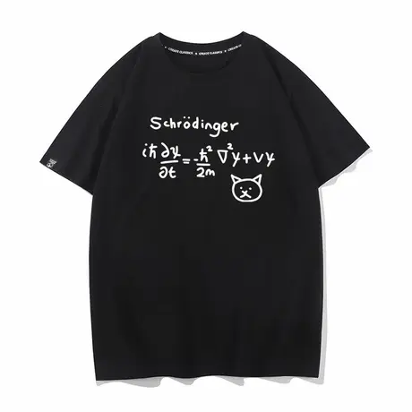 秀洛薛定谔的猫恶搞搞笑的公式文字夏季短袖T恤男女同款衣服半袖商品大图