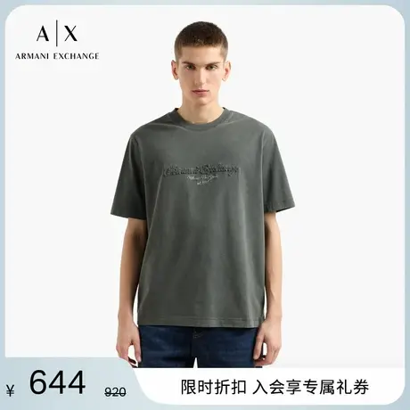 ARMANI EXCHANGE/阿玛尼全棉宽松圆领毛圈刺绣T恤2025夏季新款男商品大图
