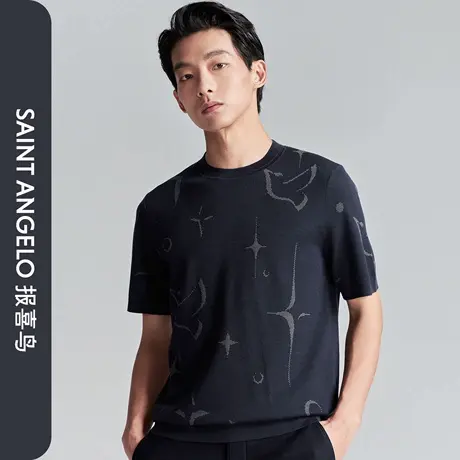 报喜鸟2025秋季新款男士商务休闲短袖T恤上衣时尚百搭圆领羊毛衫商品大图