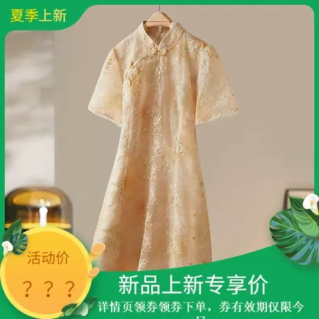 2025年夏季新款刺绣气质国风旗袍短袖连衣裙女装SXL25240商品大图