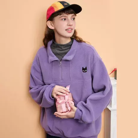 a02摇粒绒套头卫衣2025秋冬半拉链休闲刺绣设计显瘦女式卫衣商品大图