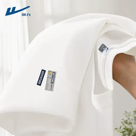 回力男士t恤秋季纯棉宽松透气休闲男生体恤美式设计感简约长袖男D图片