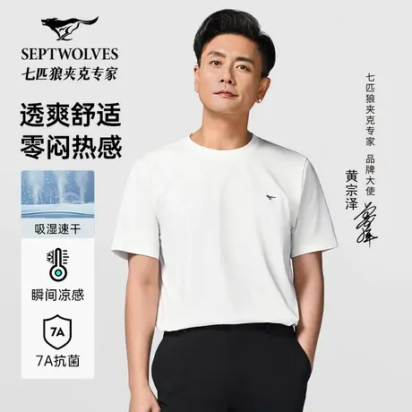 [7A抗菌]七匹狼短袖圆领T恤男士2025夏季多彩休闲百搭透气上衣男图片