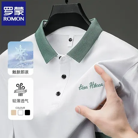 罗蒙夏季薄款男士POLO衫短袖T恤简约刺绣百搭休闲翻领半袖体恤N2Z图片