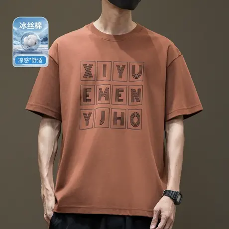 空气层冰感棉凉感短袖T恤男2025夏季新款宽松大码字母印花体恤衫图片