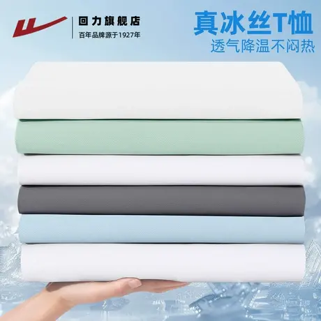 回力纯色凉感运动上衣男夏季2025新款珠地速干透气短袖T恤男半袖H图片