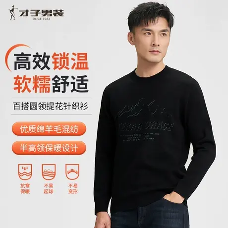 才子男装羊毛针织衫男2023冬季新款打底内搭保暖提花圆领套图毛衣图片