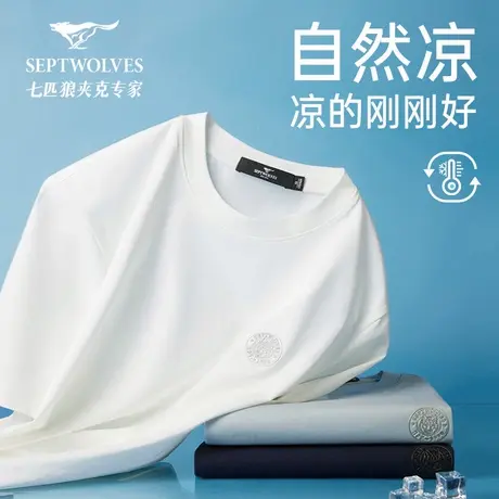 七匹狼莫代尔柔棉t短袖体恤衫男装2025夏季冰丝凉感半袖圆领T恤衫图片