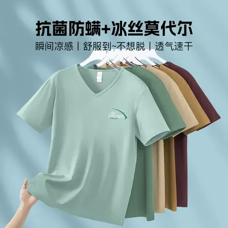 莫代尔短袖t恤男潮流抗菌防螨速干冰丝凉感半袖V领上衣服印花体恤商品大图