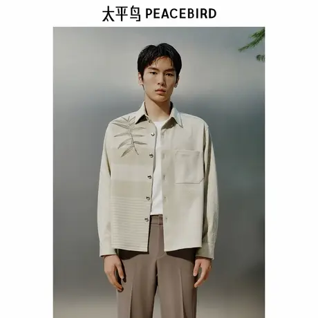 【商场同款】太平鸟男装 2025年春季新款衬衣长袖衬衫男B1CHF1417商品大图