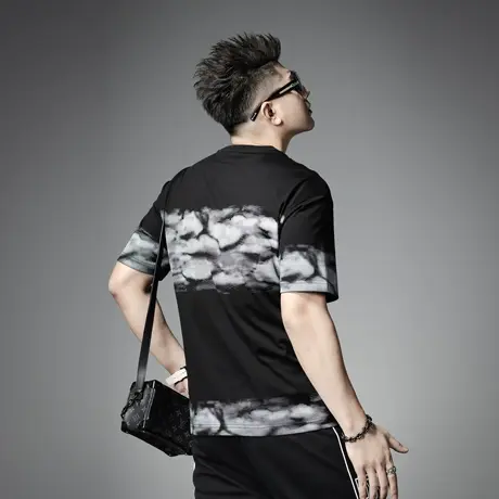 SXF圣希梵男士t恤短袖2024夏季新款潮牌圆领印花纯棉体恤衫上衣男商品大图