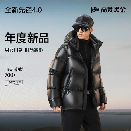【高梵黑金鹅绒服】先锋4.0大四格2024年新款男士秋冬短款羽绒服图片