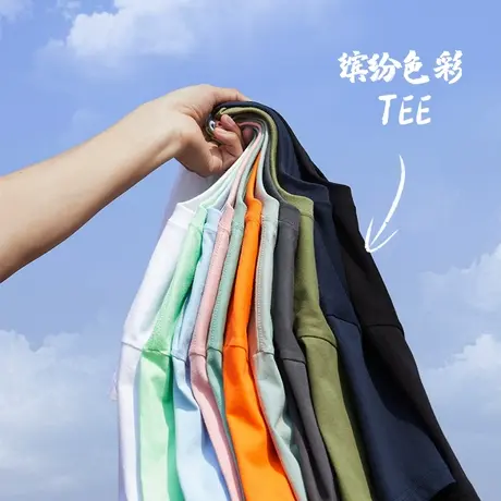 hansca 轻绒感230g重磅圆领短袖t恤男2025年夏季双纱抗菌速干上衣图片