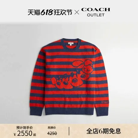 Coachtopia/蔻驰之城毛毛虫图案嵌花条纹圆领毛衣图片