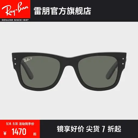 【2023新品】RayBan雷朋太阳镜徒步旅行者偏光墨镜0RB0840SF图片