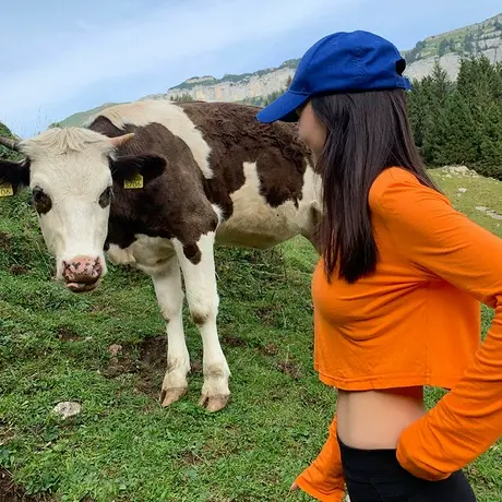 短款长袖橘色爵士舞蹈上衣轻薄款女漏肚脐训练室跳舞糖果橙色T恤图片