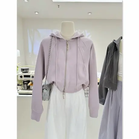 秋装百搭高级短款纯色韩系小众宽松显瘦拉链连帽卫衣女帽衫外套商品大图
