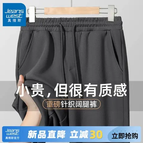 GV真维斯重磅阔腿裤男春秋款运动休闲长裤简约松弛感直筒裤子潮C图片