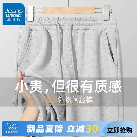 GV真维斯秋季男士卫裤宽松休闲男装裤子重磅针织高级感阔腿裤男C图片