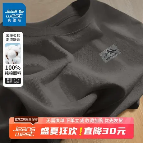 GV真维斯纯棉长袖t恤男美式复古潮流重磅宽松大码百搭圆领体恤衫B商品大图