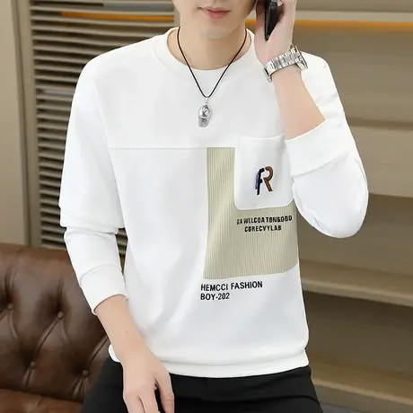 男士无帽卫衣春秋季潮牌刺绣圆领长袖t恤潮流小众设计感秋装上衣商品大图