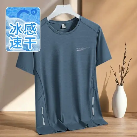速干衣运动t恤男短袖冰丝凉感印花半袖健身跑步训练排汗透气体恤商品大图