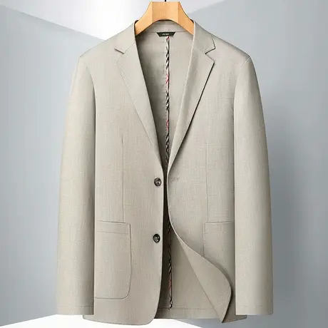 春季薄款天丝亚麻西服上衣商务休闲两粒扣男便西韩版修身职业西装图片