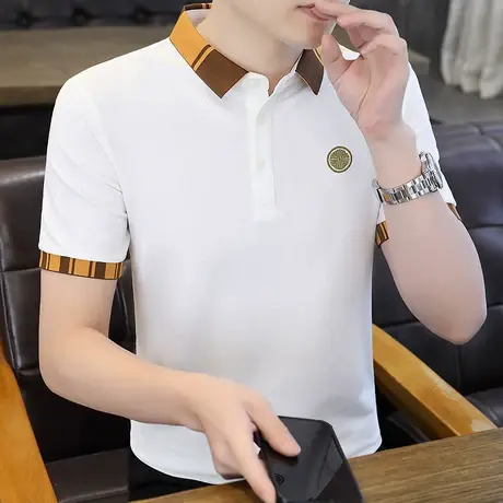 POLO衫男短袖t恤翻领男装夏季潮流半袖纯棉上衣2025夏款高端体恤图片