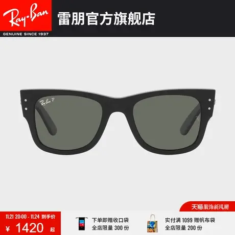 RayBan雷朋太阳镜徒步旅行者偏光墨镜0RB0840SF🛰图片