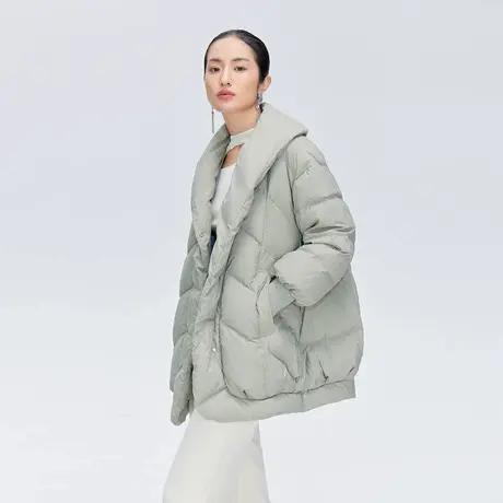 【直播】艾莱依商场同款时尚羽绒服女冬季外套时尚设计感保暖爆款商品大图