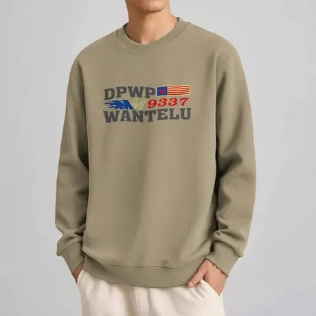 320g重磅男士卫衣2025新款加绒保暖打底衫圆领套头长袖无帽上衣服图片