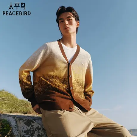 【商场同款】太平鸟男装潮流毛衣25新款宽松时尚针织衫B2EAF3215图片