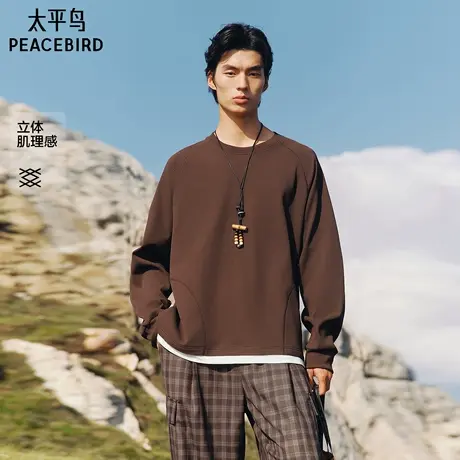 【商场同款】太平鸟男装 潮流宽松秋季新款肌理感卫衣男B2CRF3212商品大图