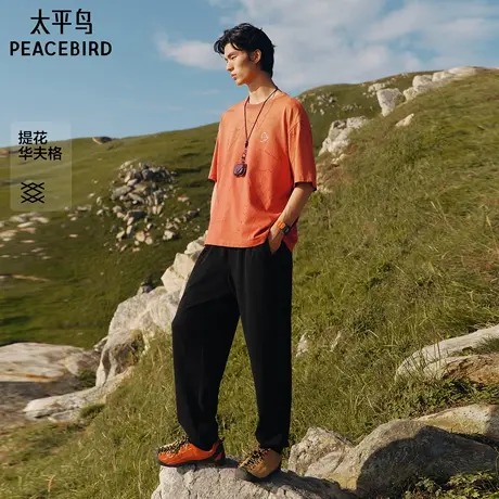 【商场同款】太平鸟男装 2025年秋季新款华夫格休闲裤男B2GMF3232图片