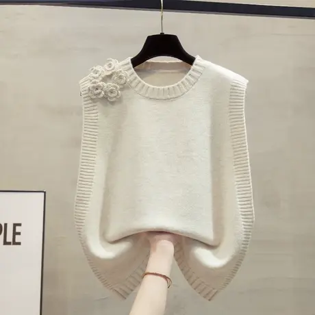 圆领针织马甲背心女2025春秋新款宽松外穿马夹叠穿外搭毛衣坎肩潮商品大图