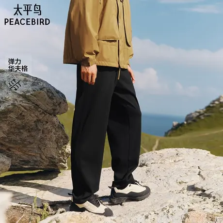 【商场同款】太平鸟男装 2025年秋季新款肌理长裤休闲裤B2GBF3230图片