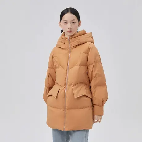 [刘通艺术家]艾莱依羽绒服女商场同款连帽高级拼接冬季保暖外套图片