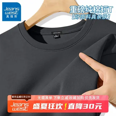 GV真维斯纯棉短袖t恤男夏季男生小众简约宽松休闲大码半袖体恤衫B图片