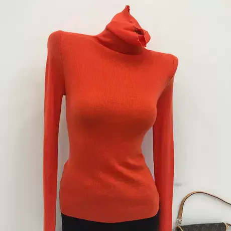 高领加厚打底衫女时尚内搭羊毛糖果色修身上衣显瘦春秋穿搭网红潮图片