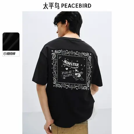 【艺术家系列】太平鸟男装重磅短袖T恤25夏季新款刺绣体恤衫潮牌商品大图