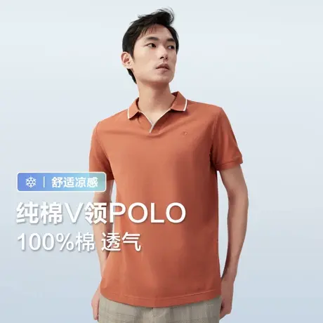 【100%棉】红豆Polo衫男士纯棉V领休闲25夏季易打理短袖t恤上衣商品大图