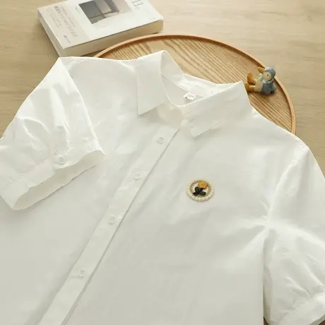 夏季新款韩版文艺刺绣花朵纯棉短袖白衬衫女韩范时尚休闲百搭上衣图片