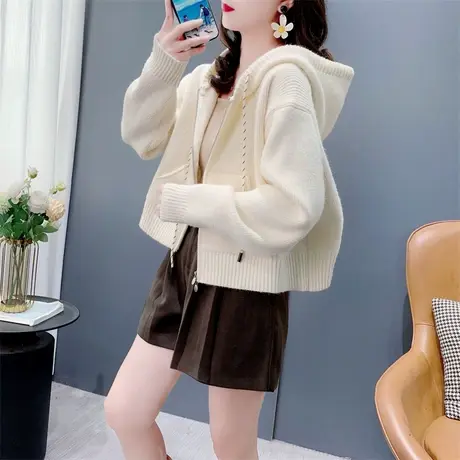 韩系复古连帽拉链毛衣开衫女秋冬季新款高级感百搭小个子外套上衣图片