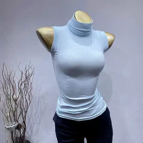 韩国ins简约洋气高领打底衫女薄款微透紧身显身材内搭t恤上衣秋冬图片